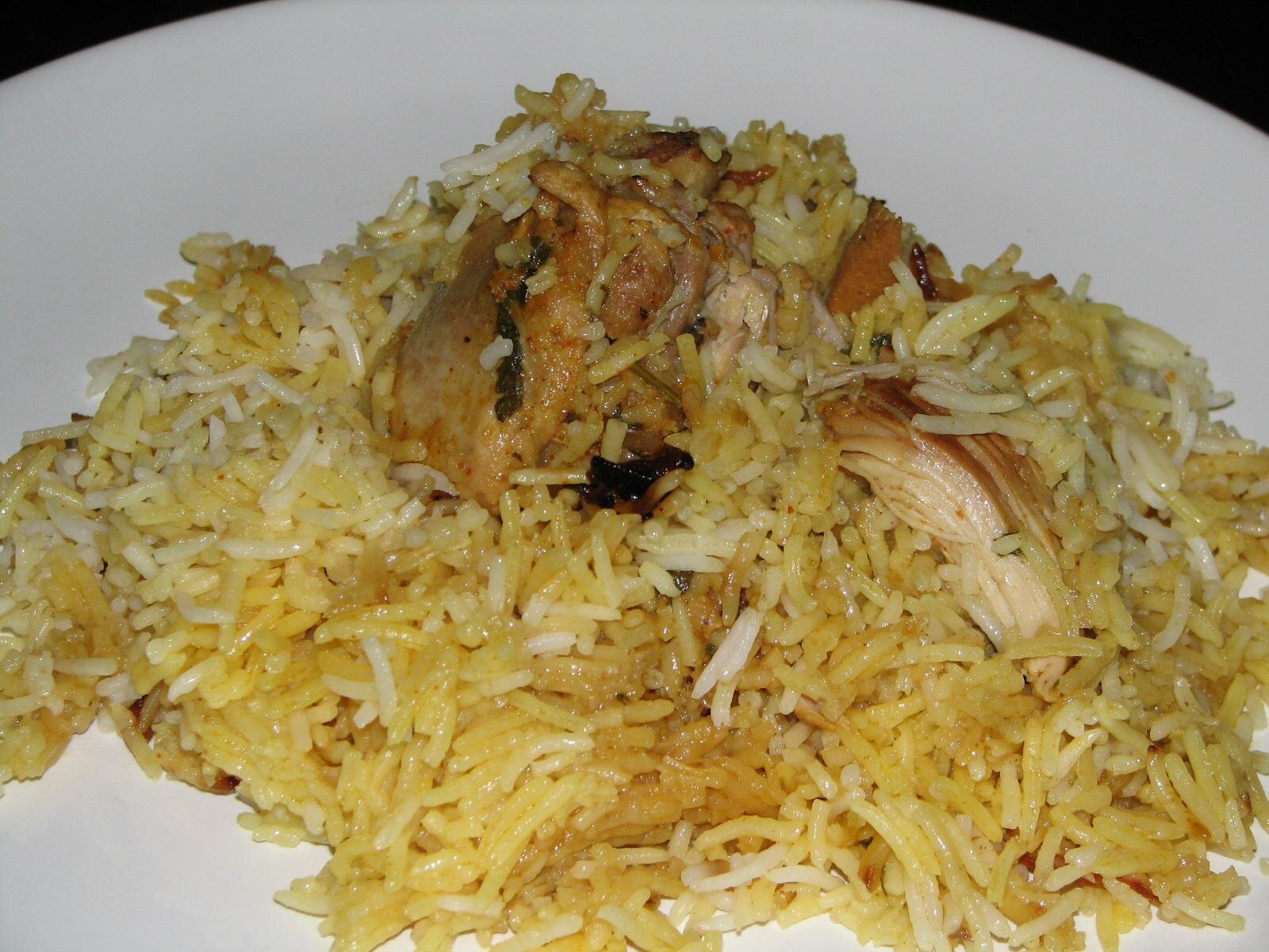 biryani close-up